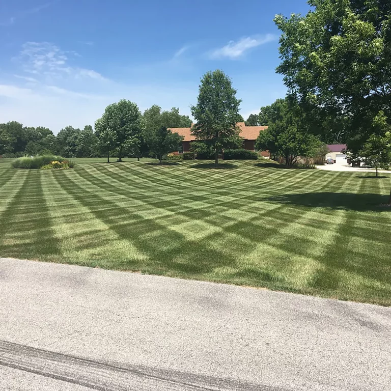 Well cut lawn in a checkered pattern